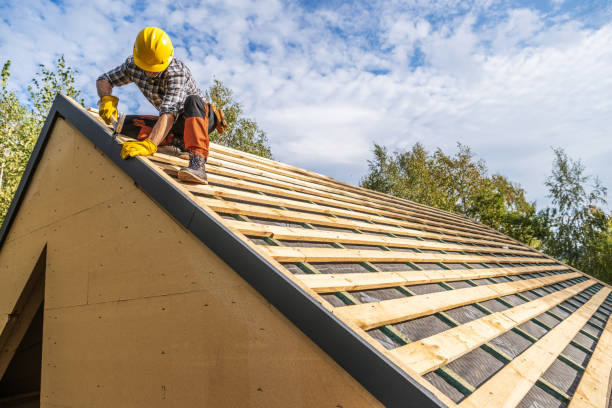 Best Shingle Roofing Installation  in Mango, FL