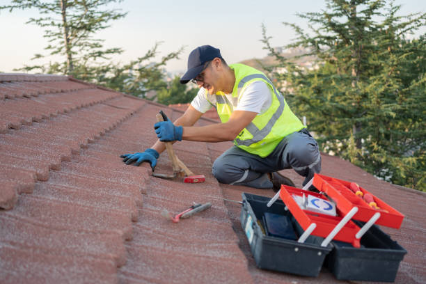 Best Commercial Roofing Services  in Mango, FL