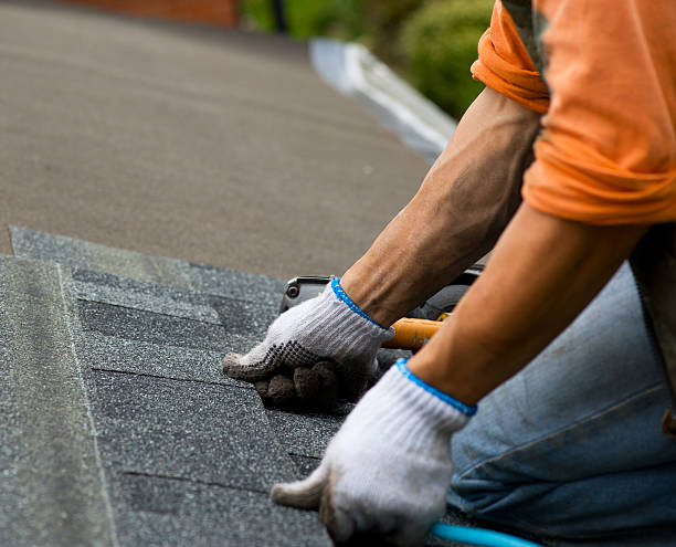 Best Emergency Roof Repair  in Mango, FL