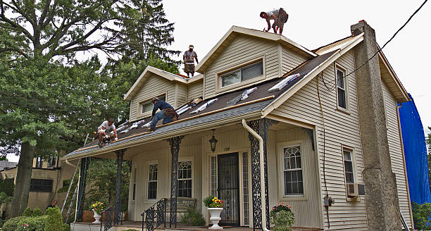 Best Residential Roofing Contractor  in Mango, FL