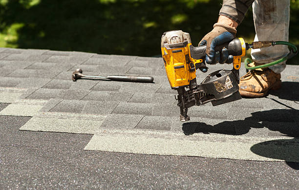 Best Gutter Installation and Roofing  in Mango, FL