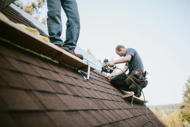 Quick and Trustworthy Emergency Roof Repair Services in Mango, FL
